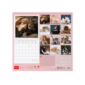 Legami - Best Arkadaşlar 2027 Wall Takvim - 30 x 29 cm