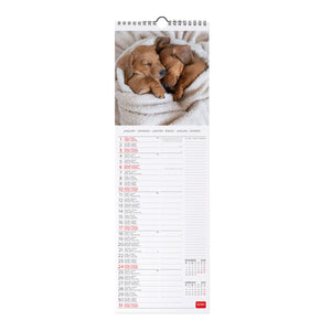Legami - Puppies 2027 Wall Takvim - 16 x 49 cm