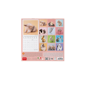 Legami - Honey Hase 2027 Wandkalender - 18 x 18 cm