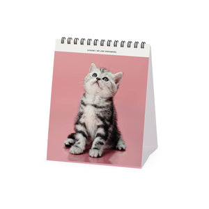 Legami - Kittens 2027 Desktop-Kalender - 12 x 14,5 cm