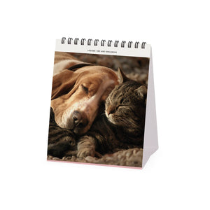 Legami - Beste Freunde 2027 Tischkalender - 12 x 14,5 cm