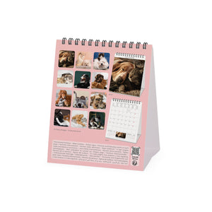 Legami - Beste Freunde 2027 Tischkalender - 12 x 14,5 cm