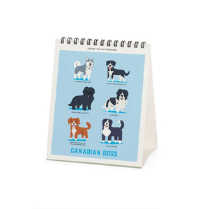 Legami - Dogs World 2027 Desk Takvim - 12 x 14,5 cm