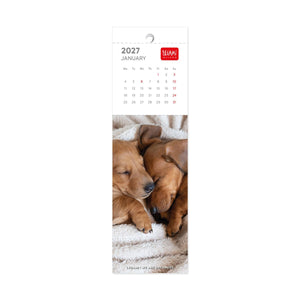 Legami - Puppies 2027 Lesezeichen Kalender - 5,5 x 18 cm