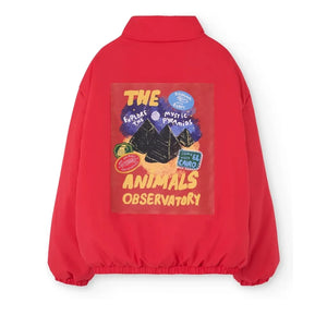 The Animals Observatory - Gepolsterte Krokodil-Steppjacke Recycelte Fasern | Rot