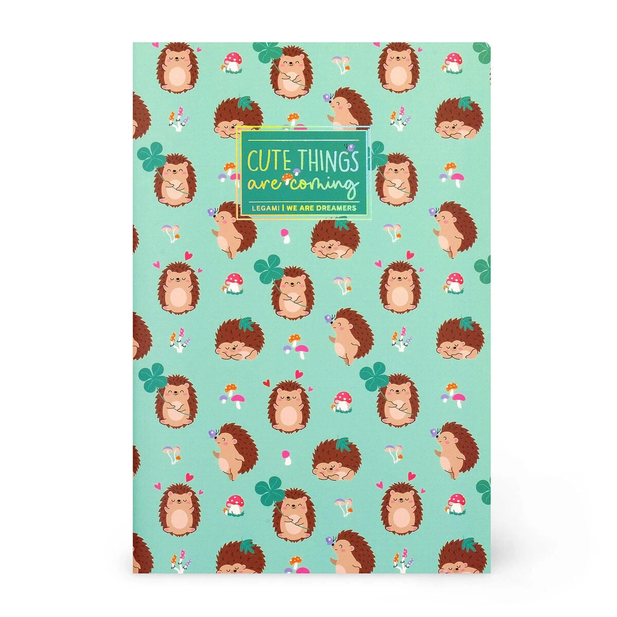 Legami - A5 Lined Defter ile Illustrated Hard Kılıf - Hedgehog