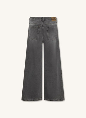 AO76 - Jean Zina Blake | Denim grau