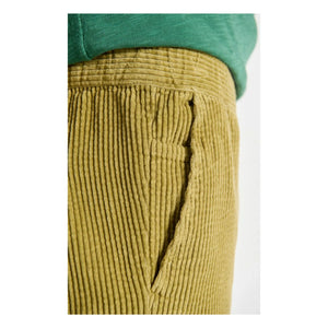 American Vintage - Padow Cordhose | Hellkhaki