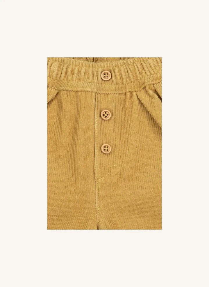 Bonton - Popeye Samt-Hose | Gelb