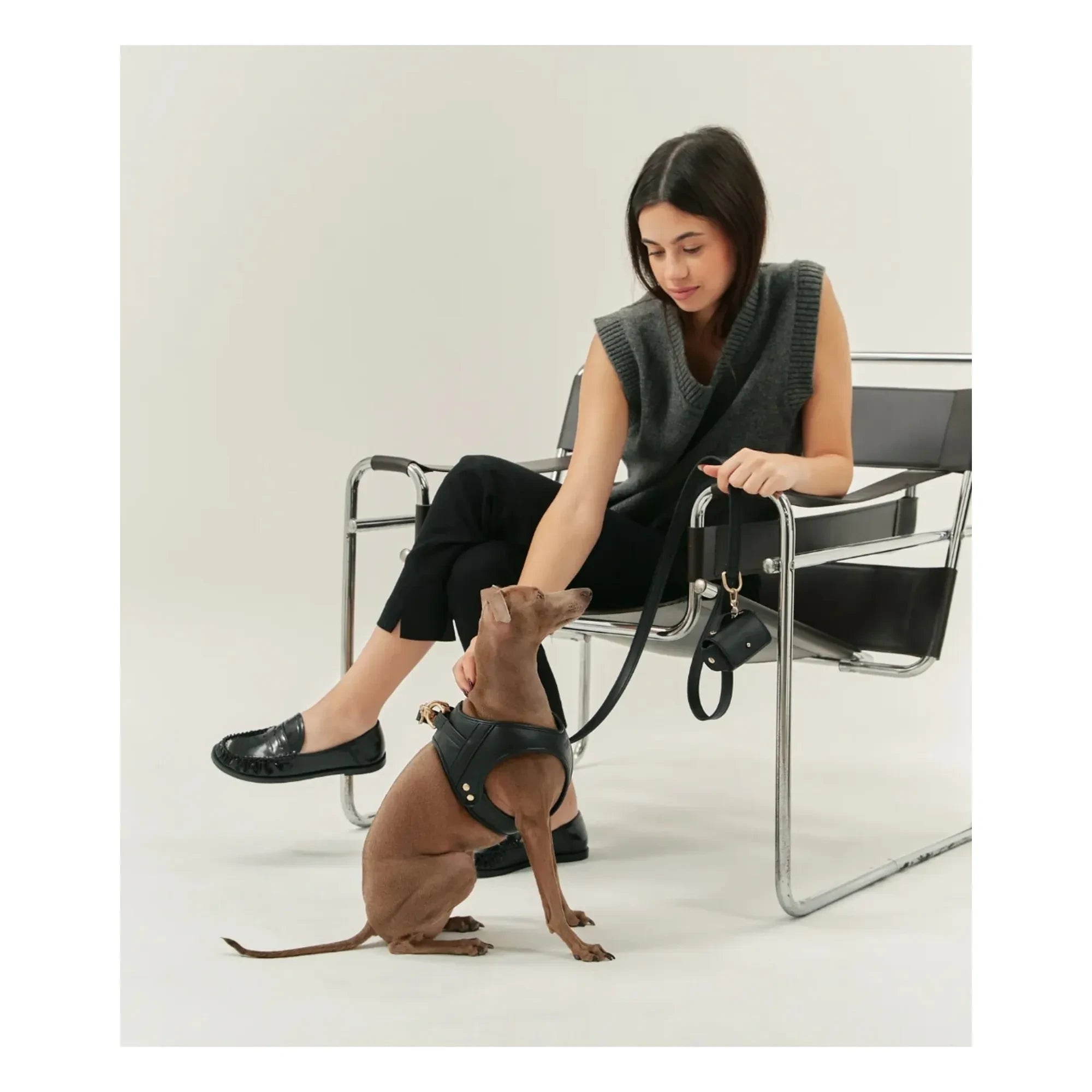 Cafide - Veganes Leder Hundehalsband | Schwarz