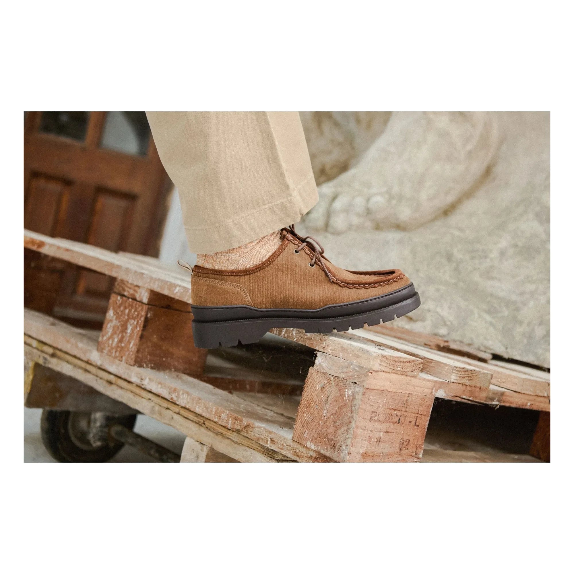 Kleman - Derbies Major VP OAK 2 Velours | Braun
