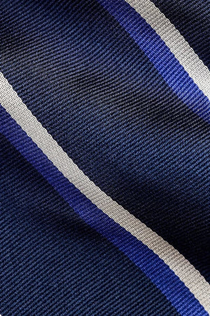 Polo Ralph Lauren Erkek İpek Kravat