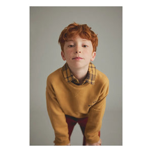 Cozmo - Adam sweatshirt | Camel