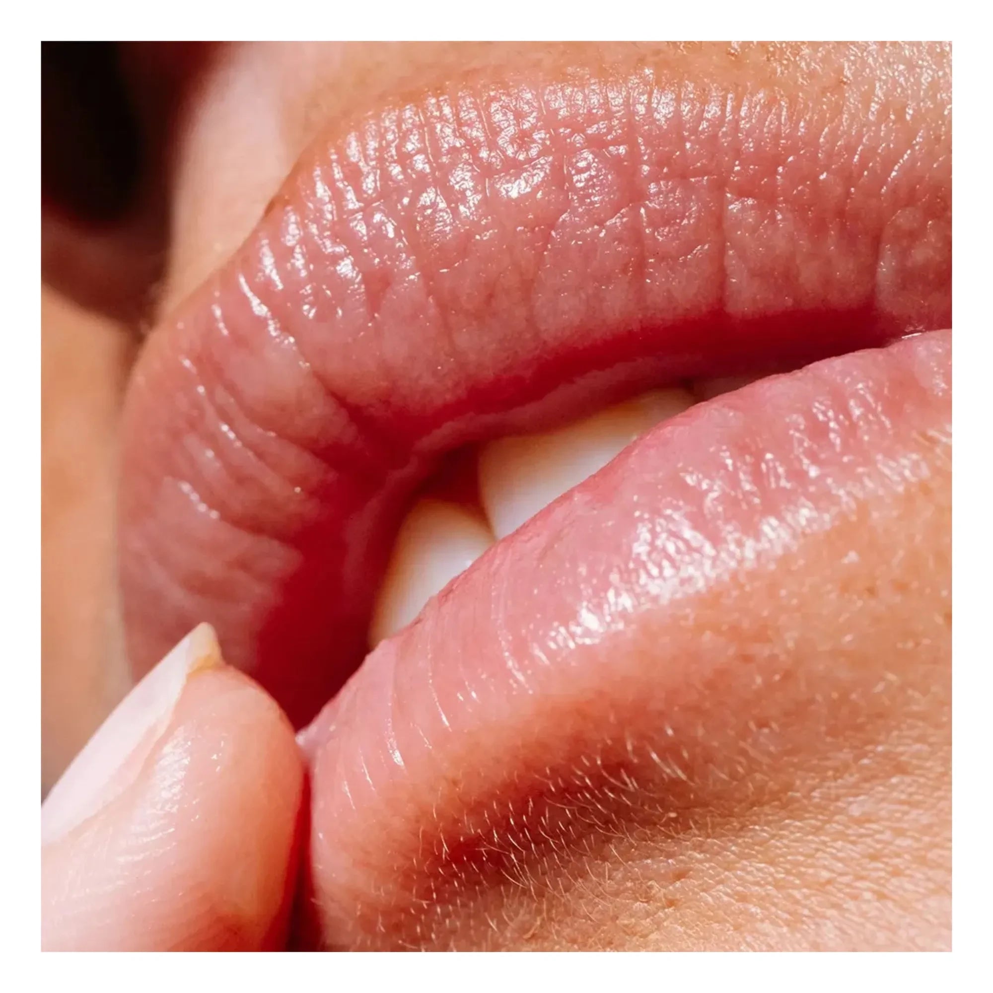 Alaena - Duo Lippenpflege Set - Limitierte Auflage