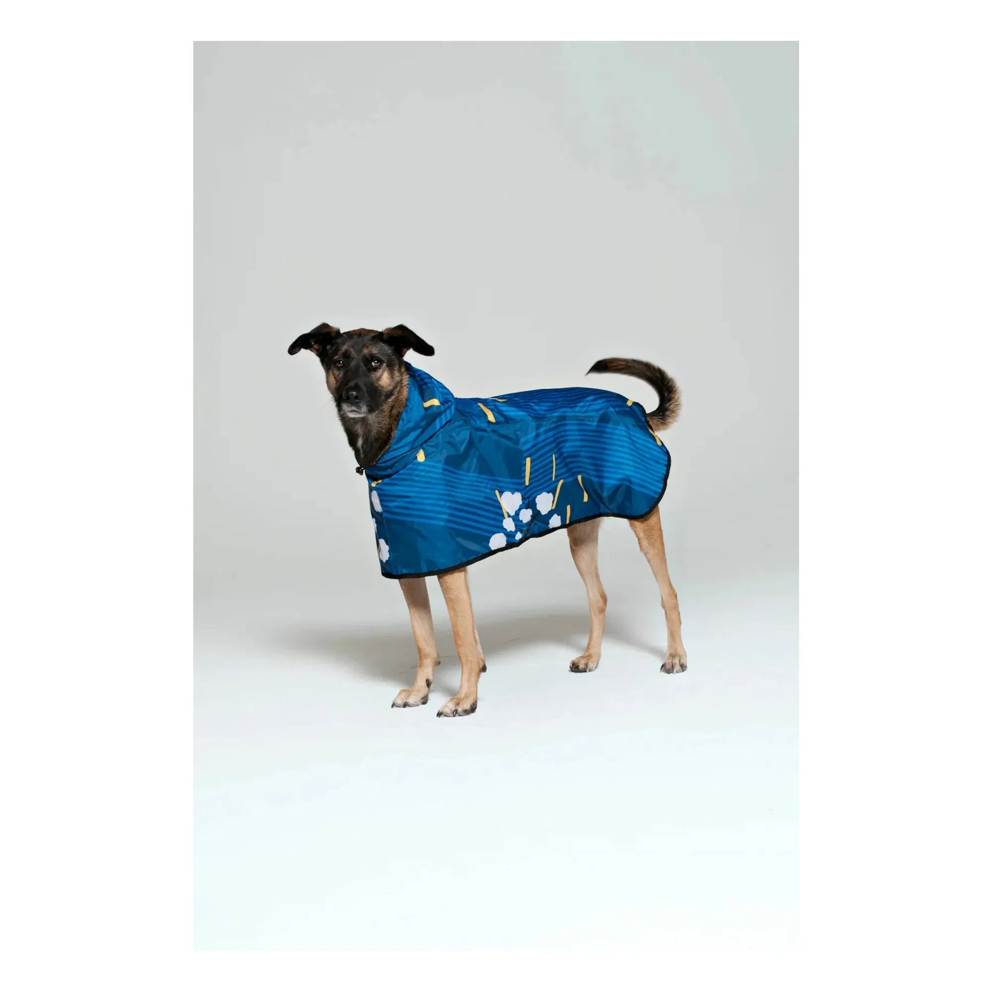 Rainkiss - Japanese Blossom Wasserdichter Hundemantel | Blau