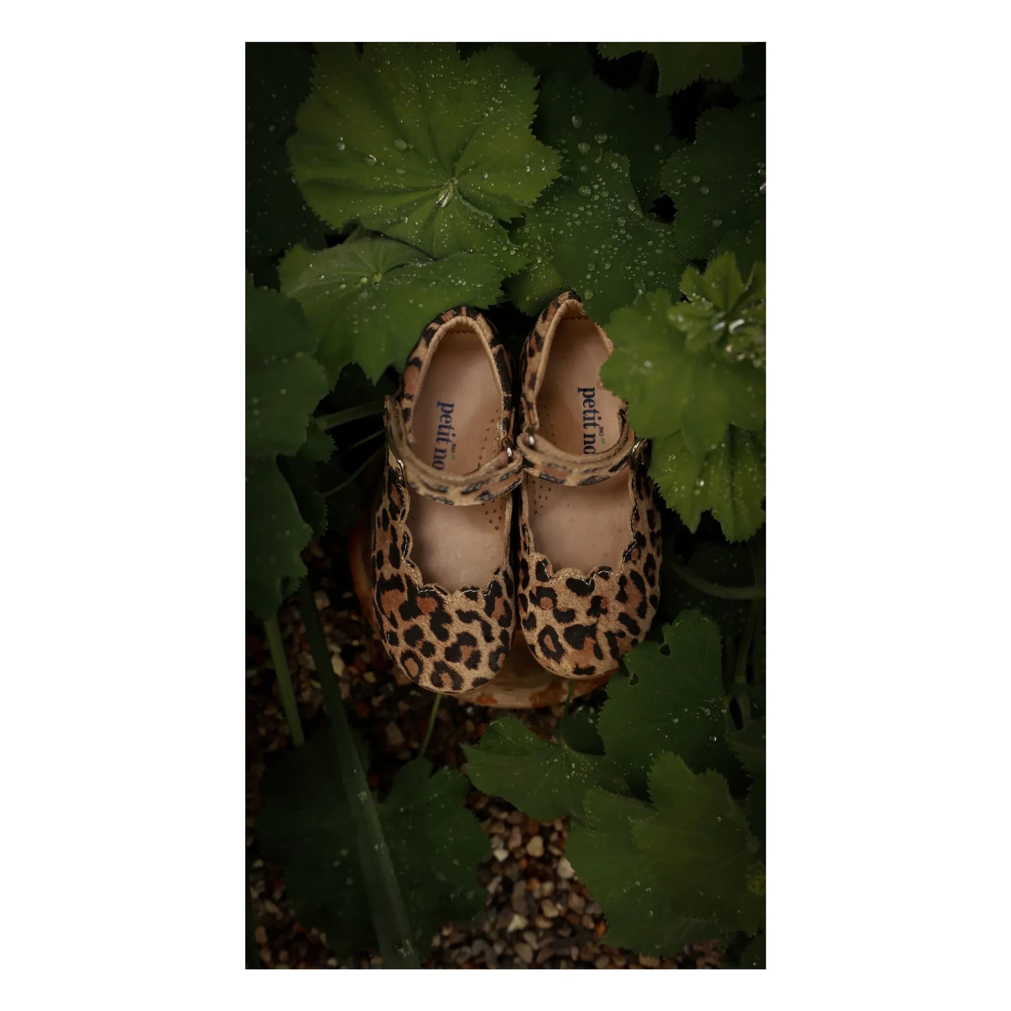 Petit Nord - Scallop Mary Jane Leopard | Braun