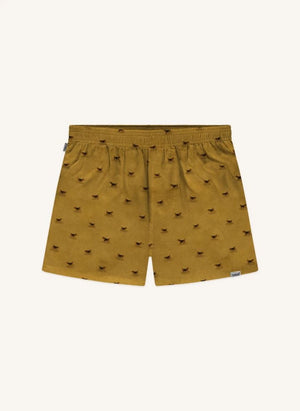 Pockies - Beagle Boxer | Hardal