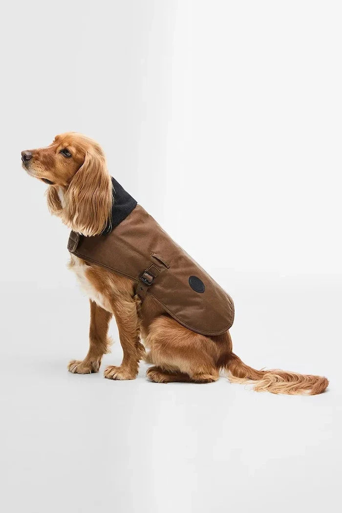 Barbour Köpek Montu