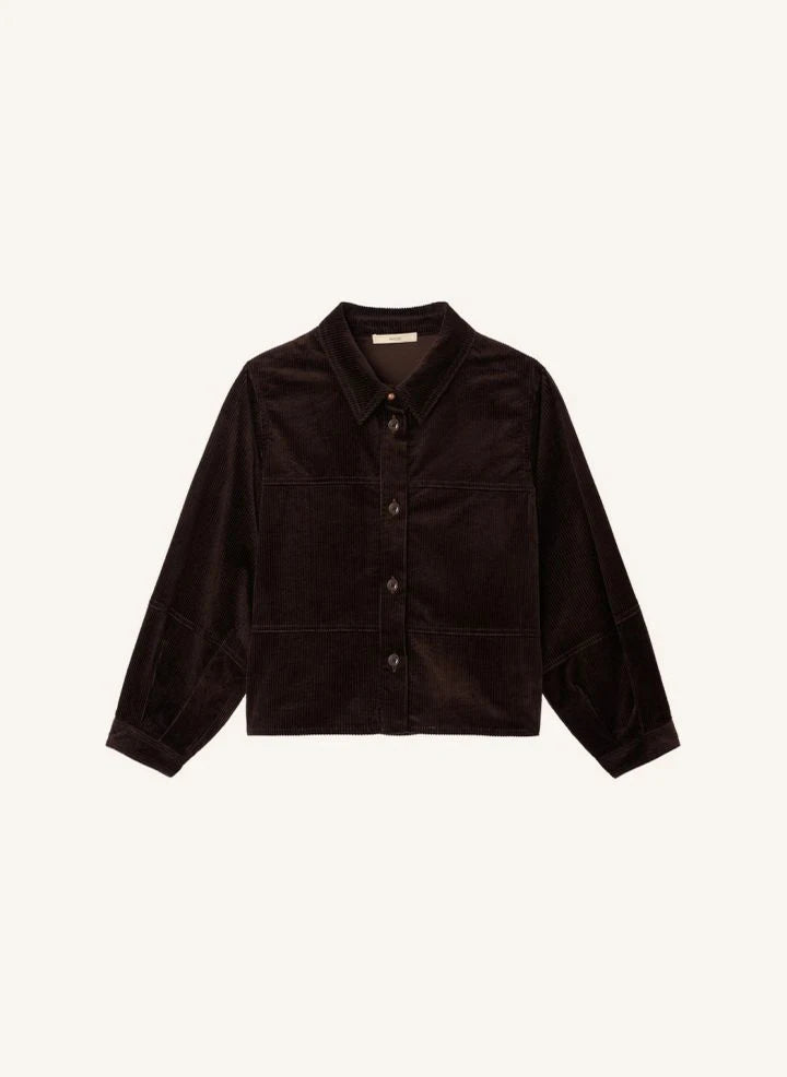 Sessùn - Leotown Bio-Baumwollbluse | Braun