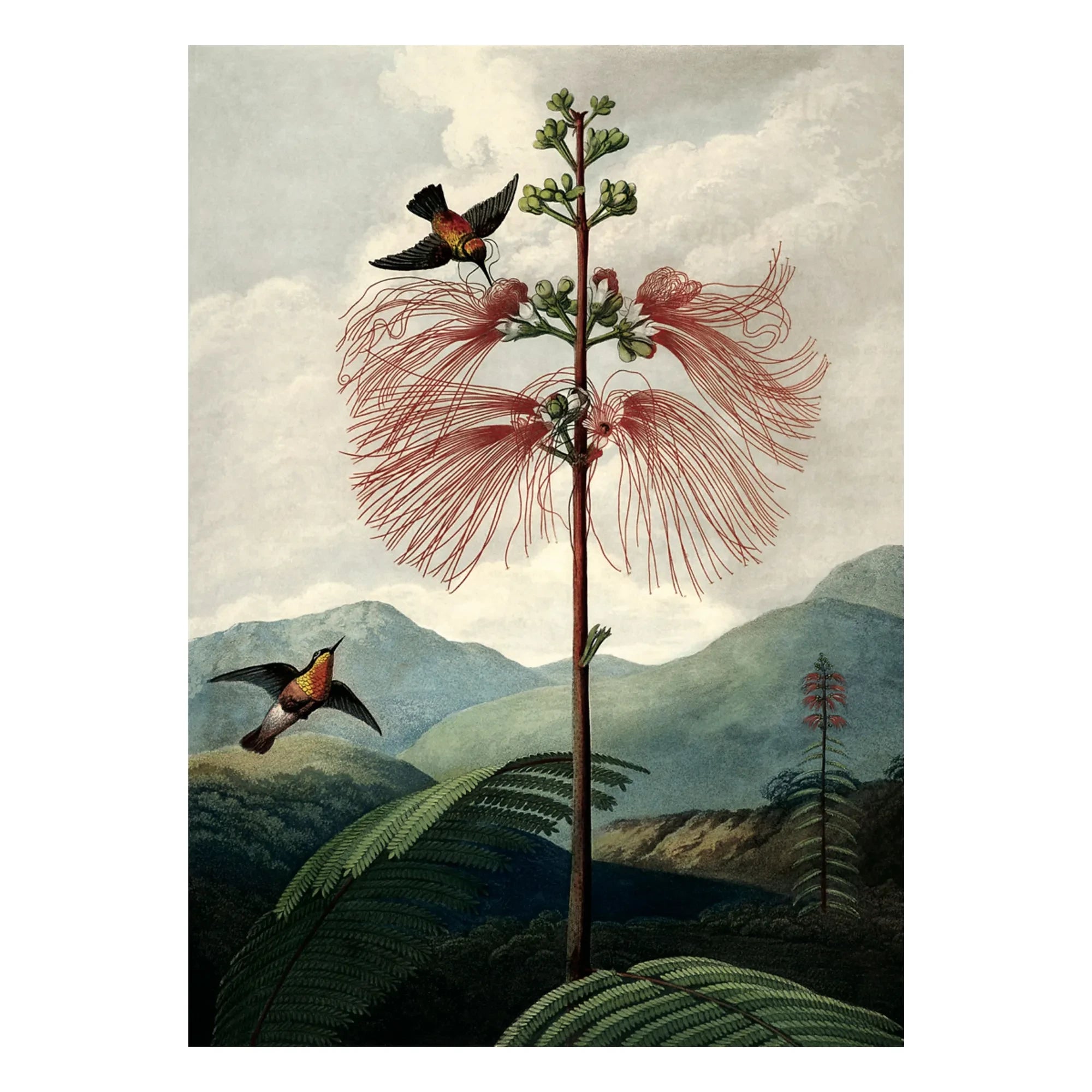 The Dybdahl Co. - Der Blumenbaum-Poster