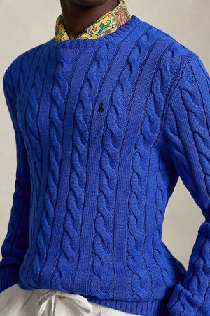 Polo Ralph Lauren erkek pamuklu kazak