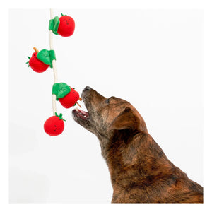 The Furry Folks - Kirschtomate Kratzspielzeug | Tomatenrot