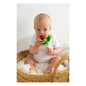 Oli & Carol - Mery la cerise diş kaşıyıcı halka