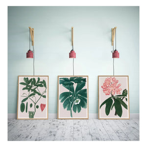 The Dybdahl Co. – Rhododendrum Maximum Poster