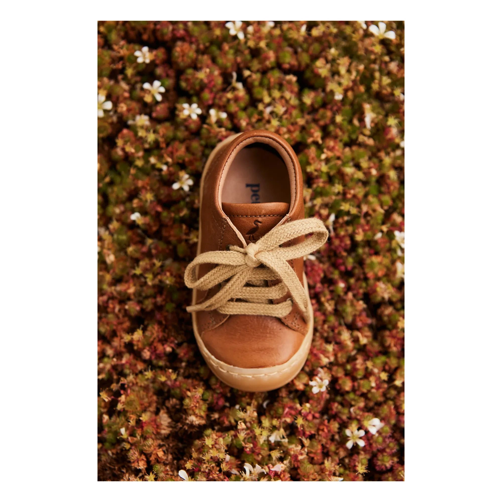 Petit Nord - Schnürsneaker für den Alltag | Cognac