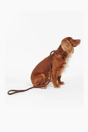 Barbour Tartan Detaylı Köpek Tasması
