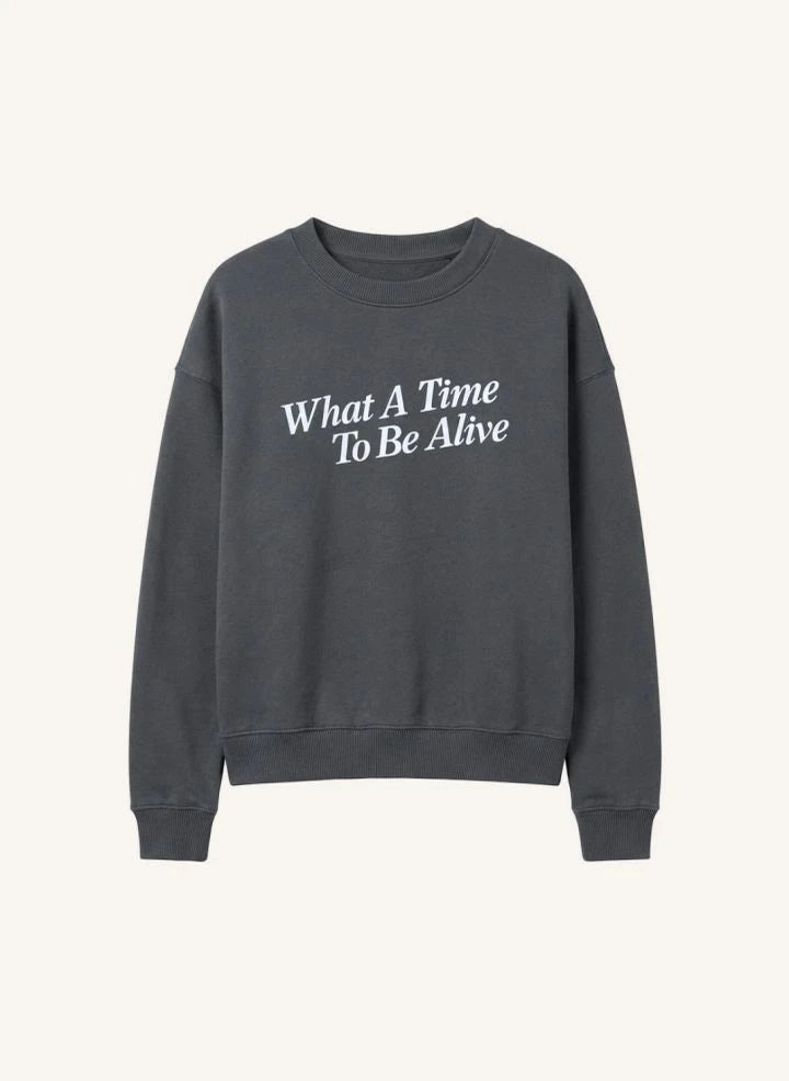 Cos I Said So - "What A Time" Bio-Baumwoll-Sweatshirt | Grau
