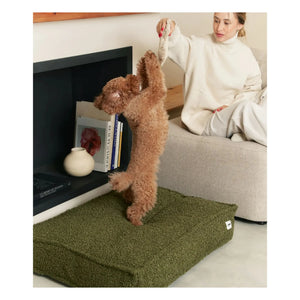 Cafide - Cuadra Buchweizen Hundebett | Grün