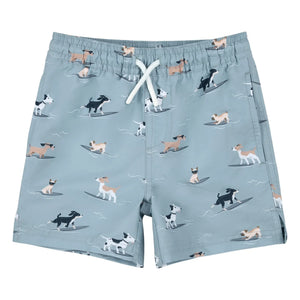 Petit Lem - Badeshorts für Hunde aus recycelten Fasern | Graublau
