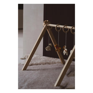 Quax - Hundegurt Spielzeugset