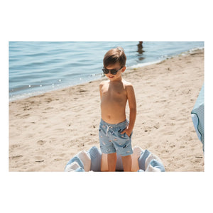 Petit Lem - Badeshorts für Hunde aus recycelten Fasern | Graublau