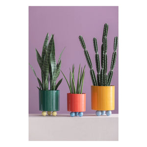 Present Time - Double Funky Blumentopf | Grün