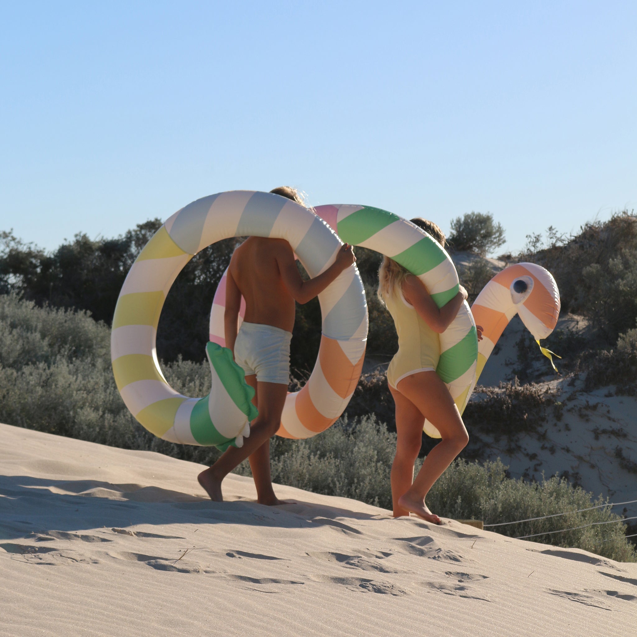 Sunnylife - Dev Yılan Şişme Havuz Eğlencesi ve Yatağı