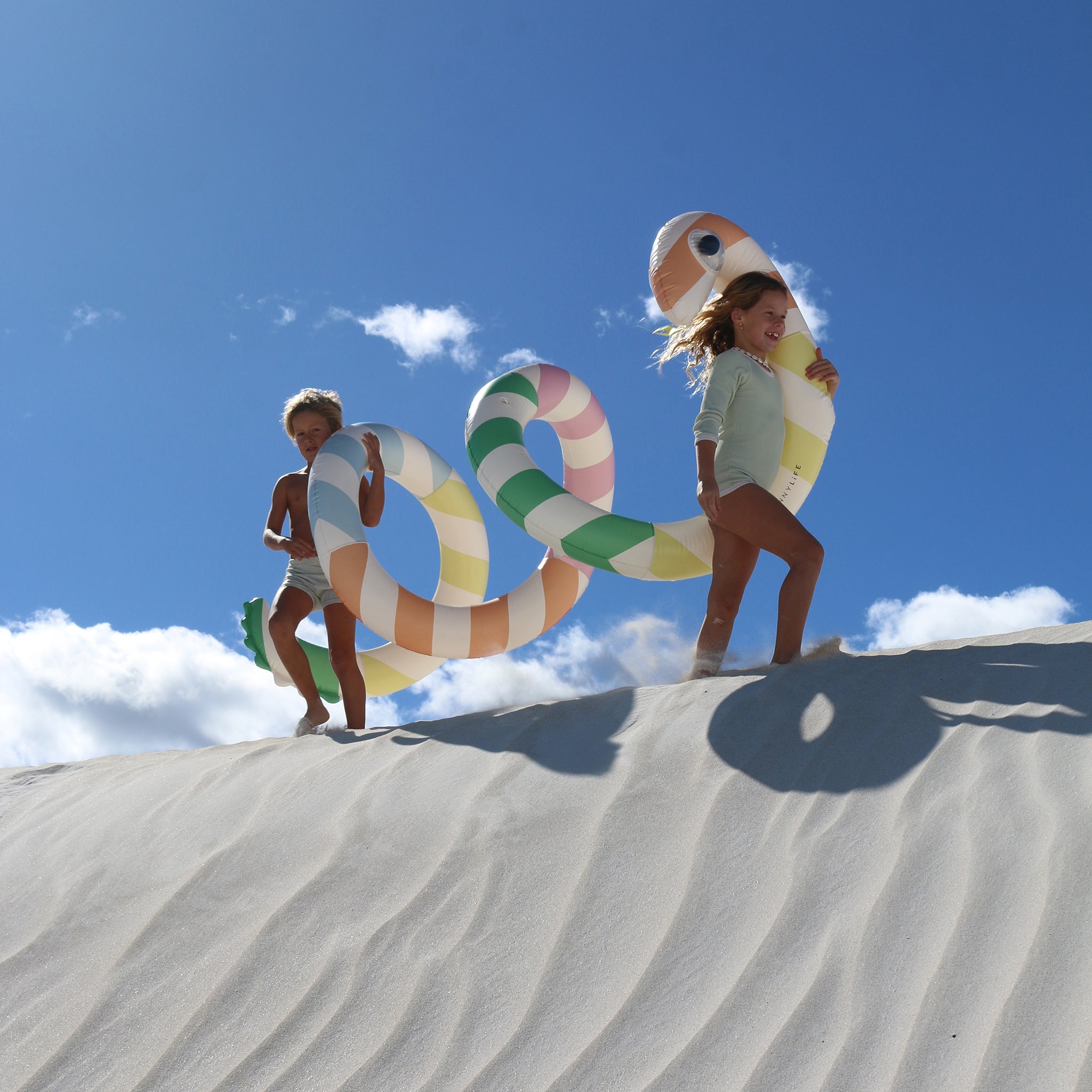 Sunnylife - Dev Yılan Şişme Havuz Eğlencesi ve Yatağı