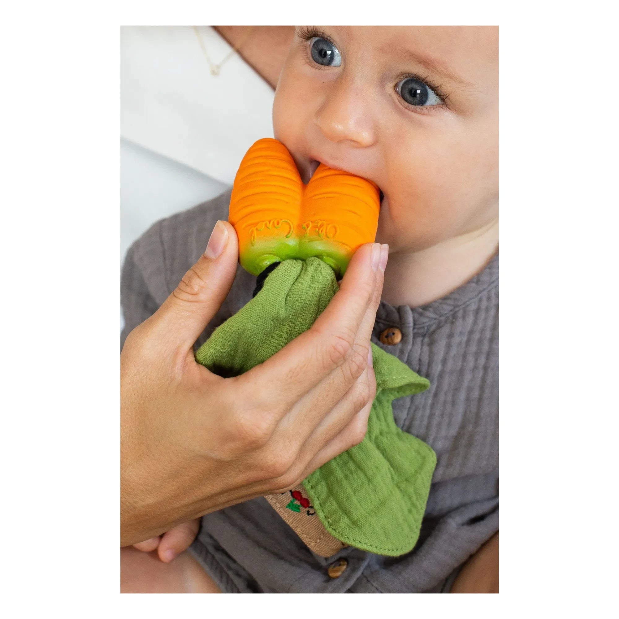 Oli & Carol - Beißring Cathy the carrot
