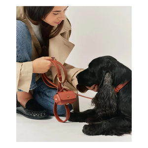 Cafide - Veganes Leder Hundehalsband | Braun