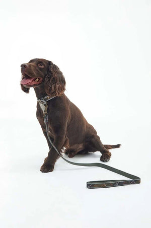 Barbour Köpek Tasması