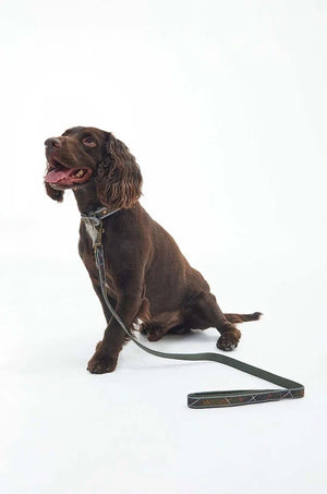 Barbour Köpek Tasması