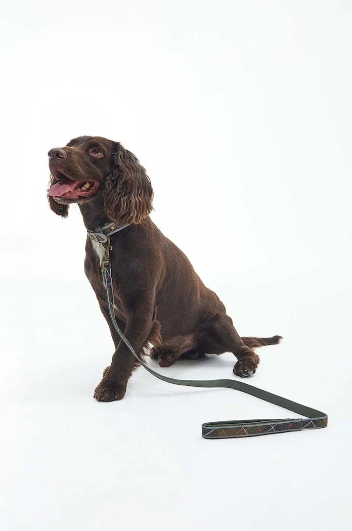 Barbour Köpek Tasması