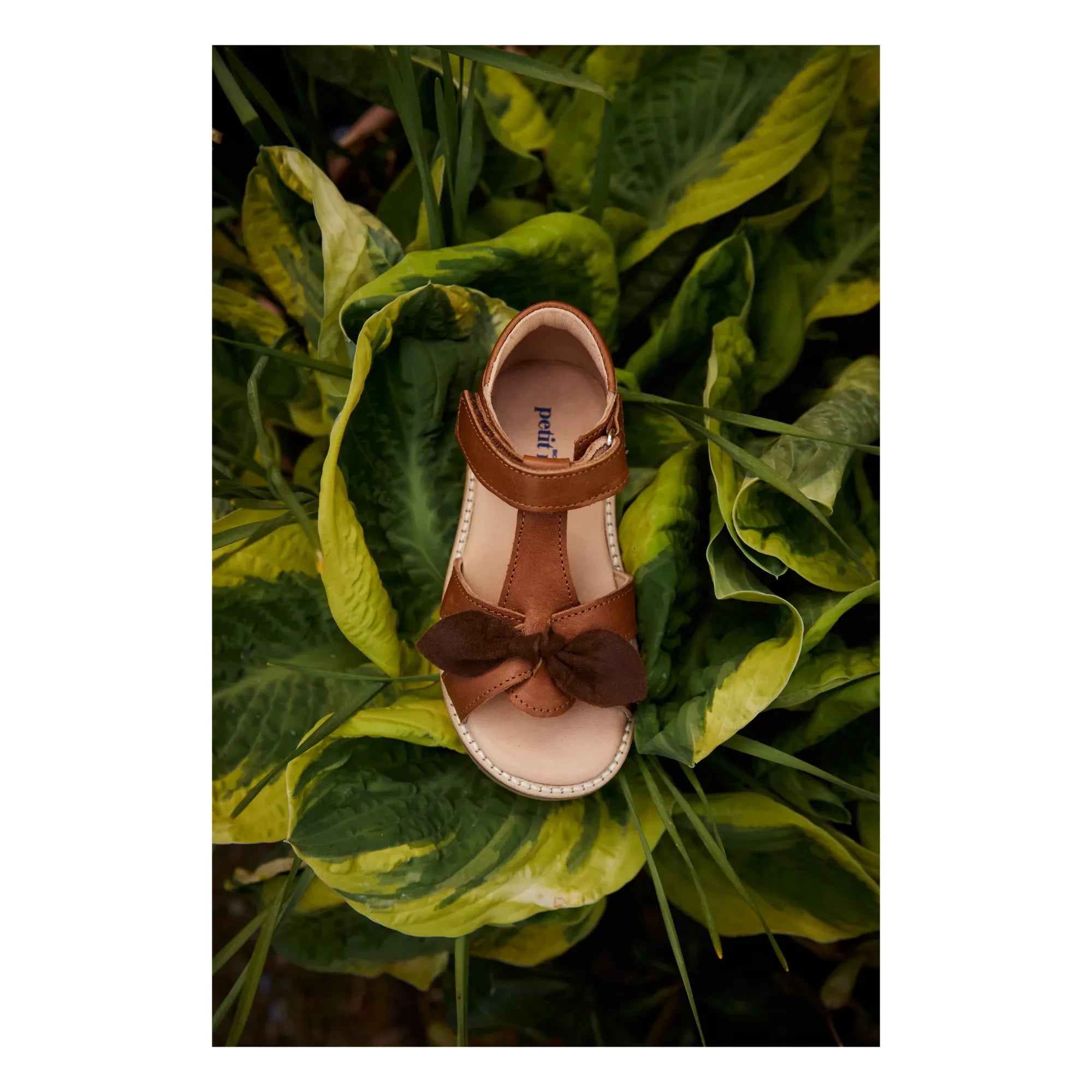 Petit Nord - Çizikli Bow Sandaletler | Konyak