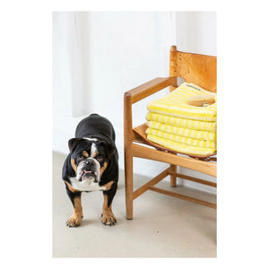 Bongusta – Frottierhandtuch Naram | Gelb