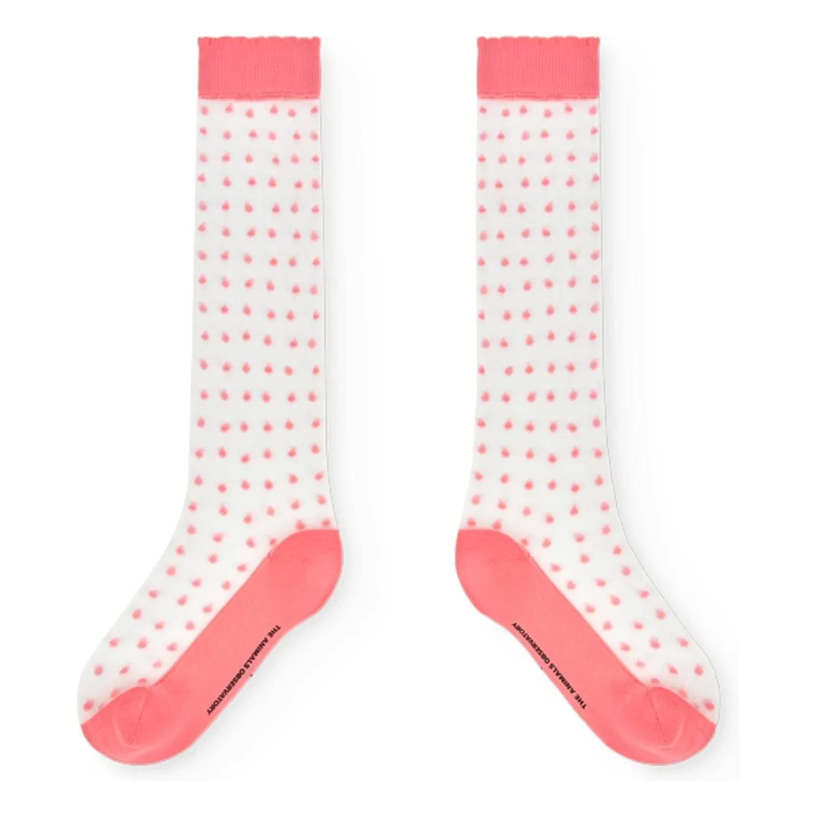 The Animals Observatory - Hen Socken | Rosa
