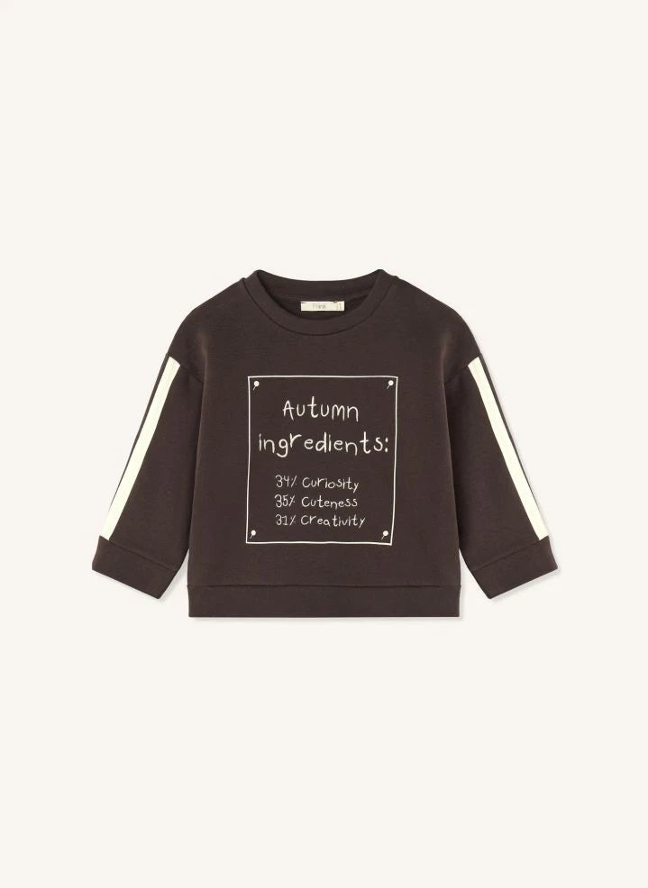 Fliink - Alvin Herbst Organischer Baumwollpullover | Braun