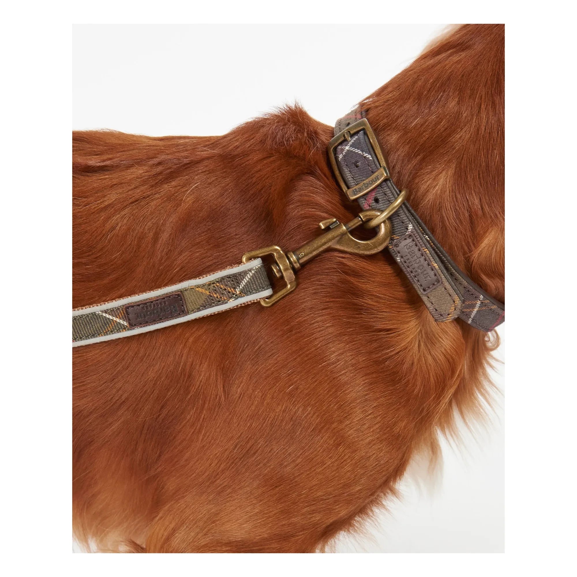 Barbour - Tartan Reflektierendes Hundehalsband | Taupe Braun