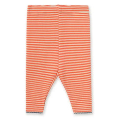 Tinycottons – Leggings aus Bio-Baumwolle mit Rippstrick und Streifen | Rot
