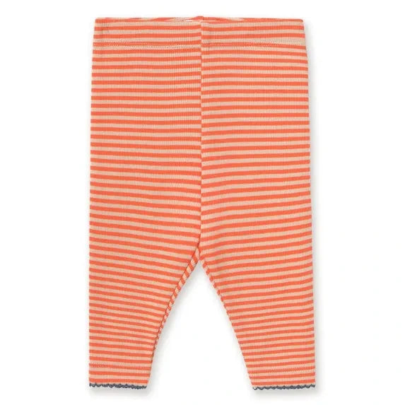 Tinycottons – Leggings aus Bio-Baumwolle mit Rippstrick und Streifen | Rot